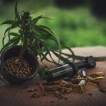 CBD oil and pills